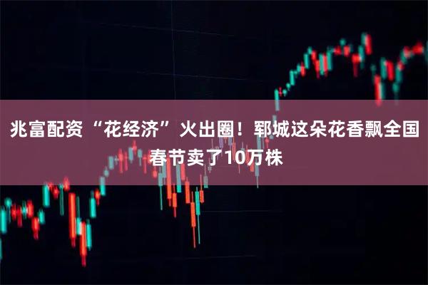 兆富配资 “花经济” 火出圈！郓城这朵花香飘全国 春节卖了10万株