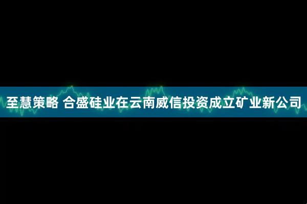 至慧策略 合盛硅业在云南威信投资成立矿业新公司